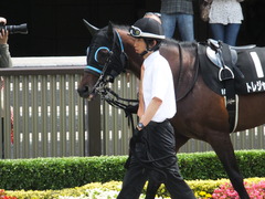 20150620 東京9R 八丈島特別 トレジャーマップ 02