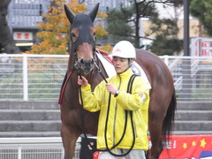 20161130 大井4R 3歳110万下 マルカンヒラリー 03