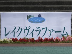 20170524 大井8R B2 マイネルグルマン 01