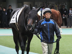 20151031 東京5R 2歳メイクデビュー ラルゴランド 06