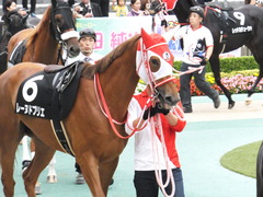 20151010 東京9R 山中湖特別 レーヌドブリエ 05