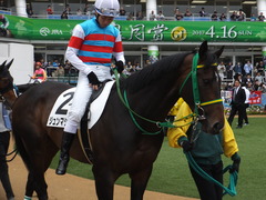 20170408 中山5R 3歳未勝利 ジュンマシュウ 14