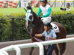 20150621 東京5R 2歳メイクデビュー カズノメガミ 11