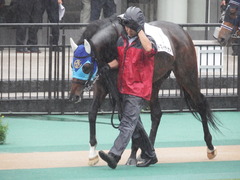20180623 東京12R (500) アドマイヤシナイ 02