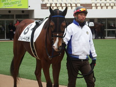 20190112 中山5R 3歳未勝利 ストレートパンチ 07