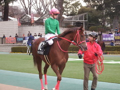 20190126 東京10R クロッカスS 3歳OP オトナノジジョウ 19