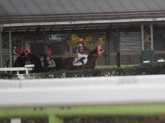 20181205 大井3R 3歳150 チアリーペッパー 14