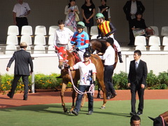 20150920 阪神11R ローズS(G2) レーヌドブリエ 14