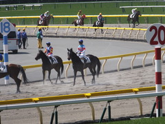 20150426 東京1R 3歳未勝利 ジュンコアー 14