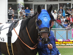 20180407 中山3R 3歳未勝利 ラプターゲイル 08