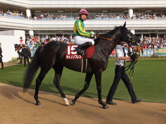 20150927 中山11R オールカマー サトノノブレス 13