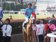20160213 東京9R 調布特別(1000) レーヌドブリエ 21