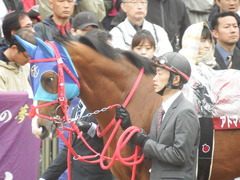 20190427 東京11R 青葉賞(G2) アドマイヤスコール 10