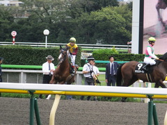 20161009 東京10R テレビ静岡賞(1600) ランドマーキュリー 11