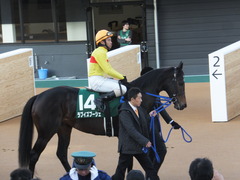 20150104 中山11R 中山金杯(G3)ラブイズブーシェ 07