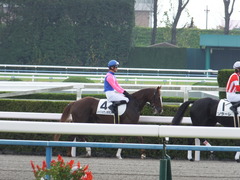 20151121京都2R 2歳未勝利 メイショウノボサン 08