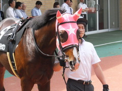 20160710 中京10R 木曽川特別(1000) ビップレボルシオン 13