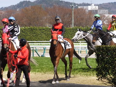 20130413 福島 メジロカトリーヌ ご苦労さん＾＾）