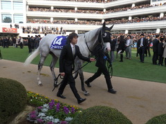 20141228 中山10R 有馬記念 ゴールドシップ 04
