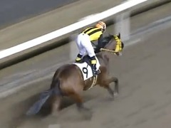 20161215 川崎7R C2 フレンドマキシマム05