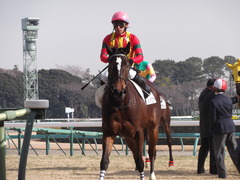 20130113 メリーウェザー2
