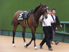 20161001 中山10R 習志野特別 オウケンブラック 12