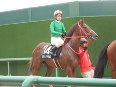 20190310 中山11R アネモネS 3歳牝馬OP オトナノジジョウ 21