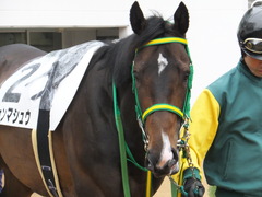 20170408 中山5R 3歳未勝利 ジュンマシュウ 11