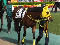 20160612 東京12R 3歳上500万下 ノーブルクリスタル 06