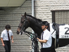 20150523 東京3R 3歳未勝利 コスモポッポ 09