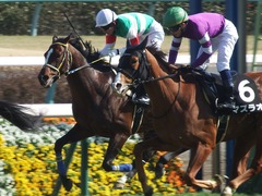 20190302 中山8R 潮来特別(1000) ラッシュアタック 16
