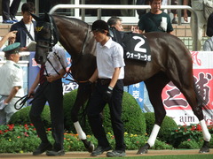 20180916 中山10R 初風特別(1000) ウォーターラボ 06