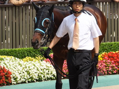 20150620 東京9R 八丈島特別 トレジャーマップ 07