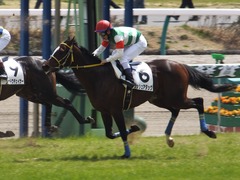 20150328 中山4R 3歳未勝利 ラッシュアタック 16