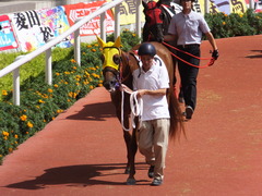 20150920 阪神7R 3歳上500万下 イサチルホープ 02