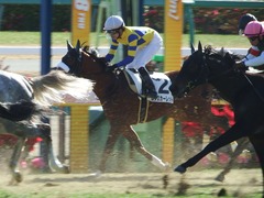 20171228 中山3R 2歳未勝利 ロジスカーレット 15