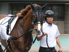 20170618 東京7R 33歳上500万下 ホウオウマリリン 02
