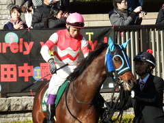 20170217 東京11R ダイヤモンドS(G3) トレジャーマップ 10