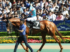 20180520 東京10R フリーウェイS(1600) クライムメジャー 19