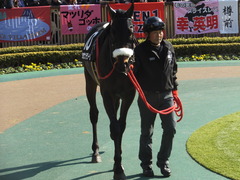 20140223 東京9R ショウナンラグーン 07