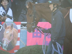 20181228 中山4R 2歳未勝利 ヤップヤップヤップ 08