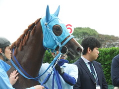 20180922 中山2R 2歳牝馬未勝利 ヴァルドワーズ 18