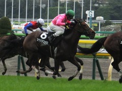 20161008 東京9R 山中湖特別(牝1000) ツクバアスナロ 17
