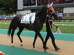 20140628 東京2R トマトリコピン 03