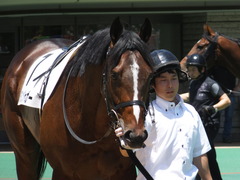 20140614 東京3R ダノンジャガー 04