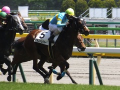 20170506 東京5R 3歳牝馬500万下 ビルズトレジャー 19