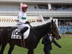 20160410 中山4R 3歳未勝利 ツボミ 14