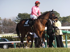 20140118 中山競馬場 ツクバアスナロ 14
