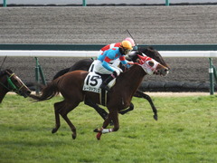 20141221 中京6R 2歳未勝利 レーヌドブリエ 20