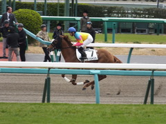 20160326 中山2R 3歳未勝利 オートシャンティ 10